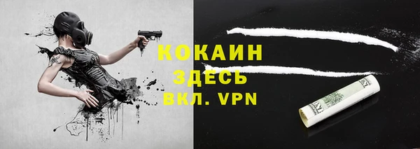 шишки Армянск