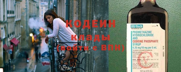 шишки Армянск