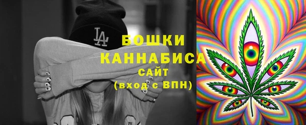 шишки Армянск
