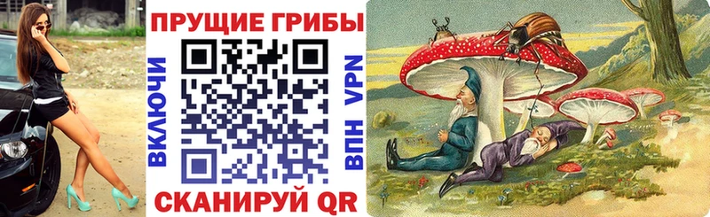 Псилоцибиновые грибы мицелий  kraken ONION  Тавда  дарнет шоп 
